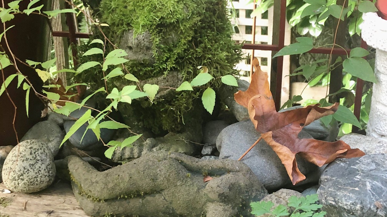 Photo of Outdoor in Gold Bar