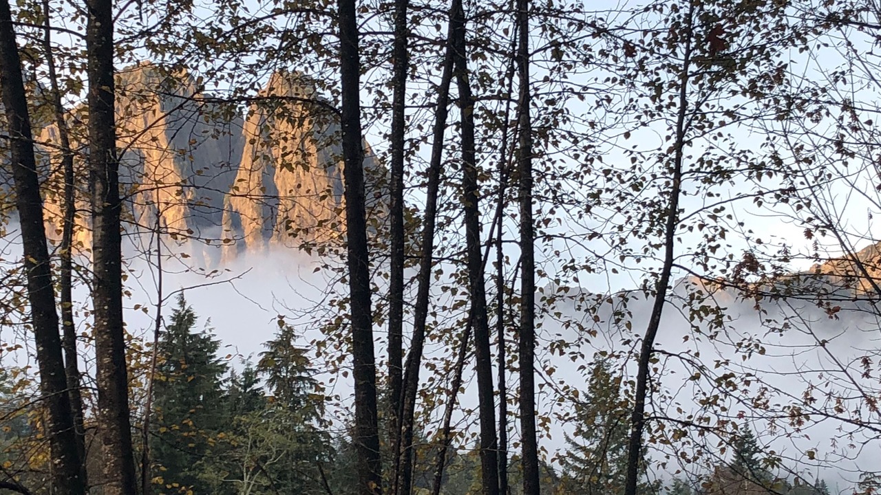 Photo of Outdoor in Gold Bar