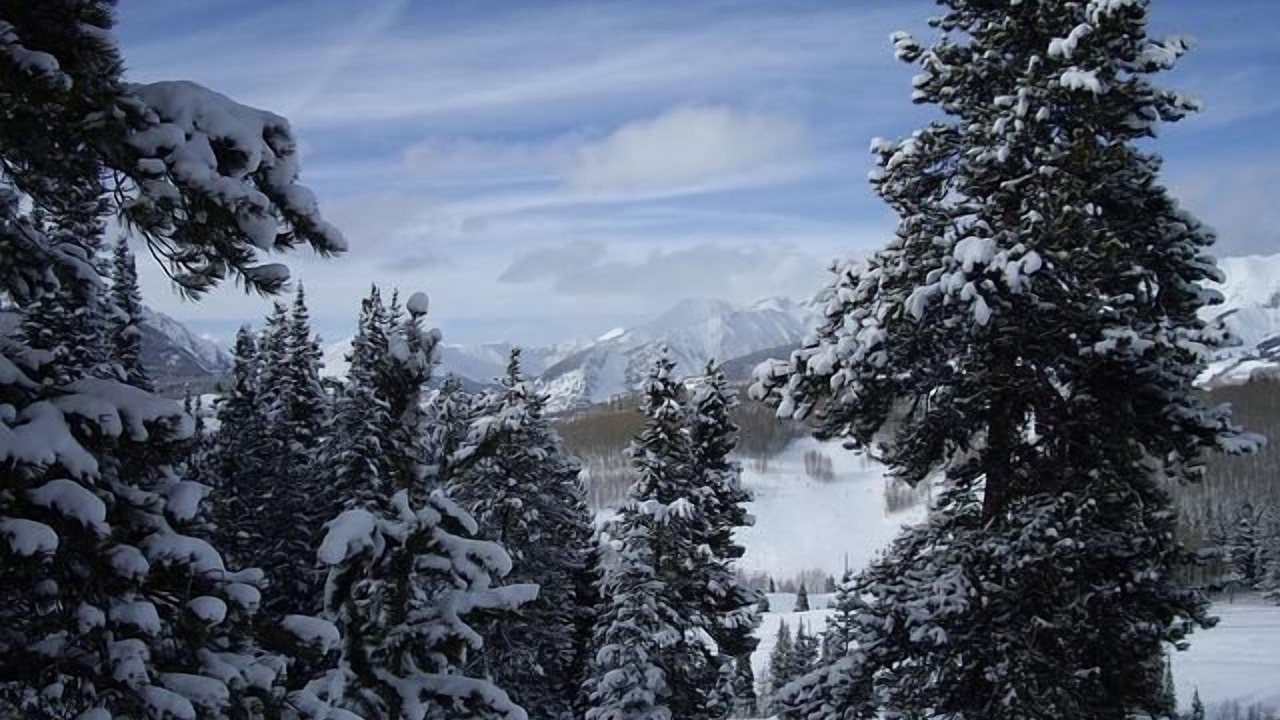 Photo of Others in Estes Park