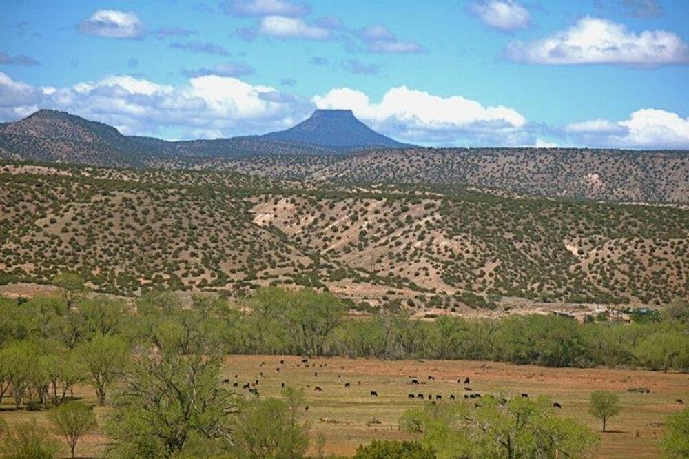 Photo of Others in Abiquiu
