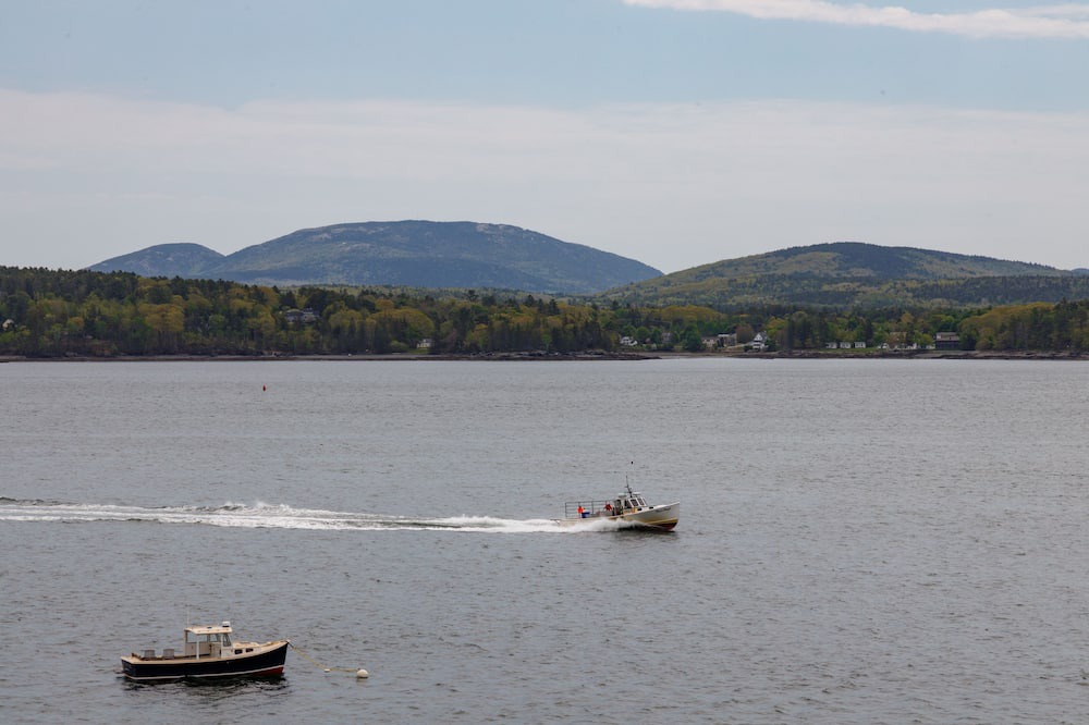 Photo of Others in Lamoine Beach