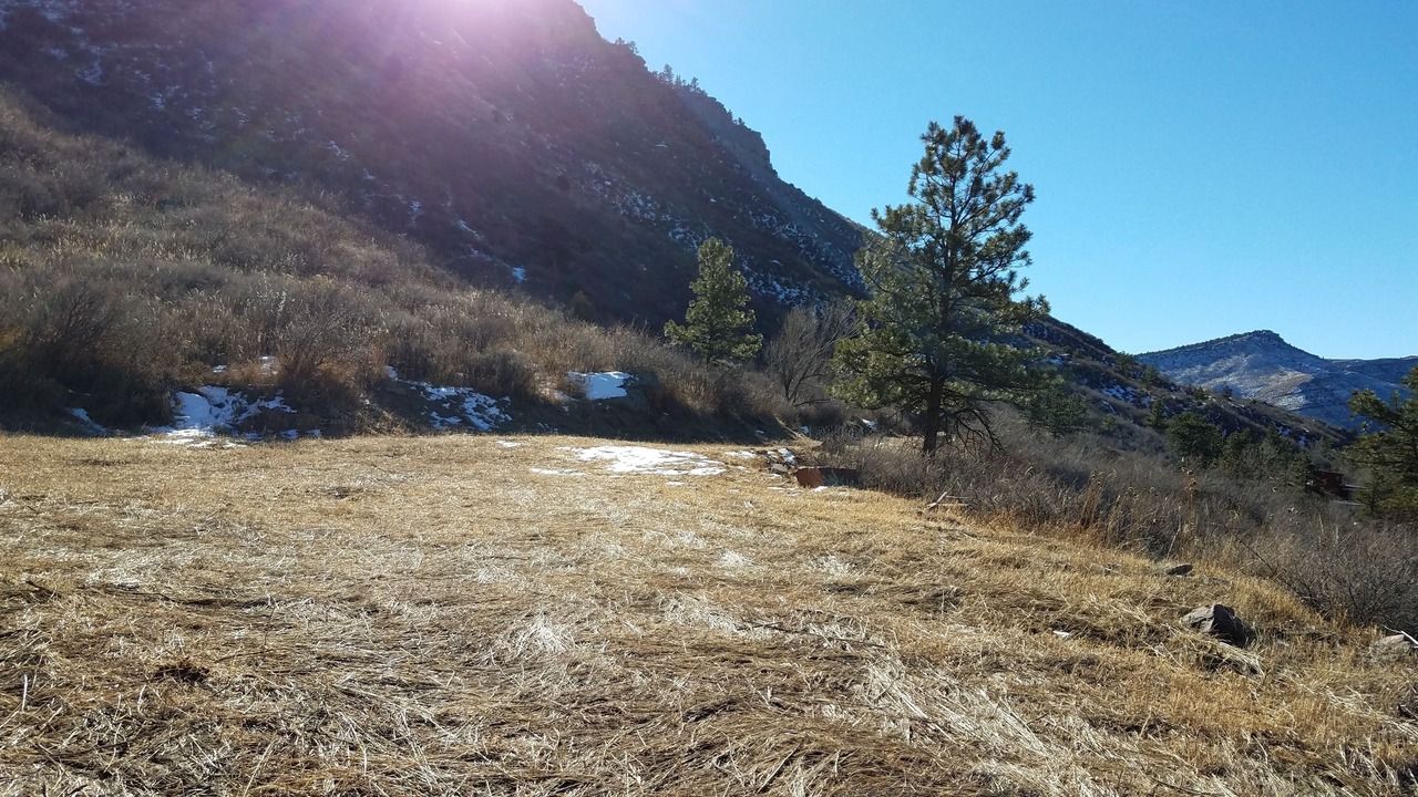 Photo of Others in Lyons