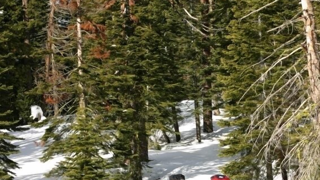 Photo of Others in Pagosa Springs