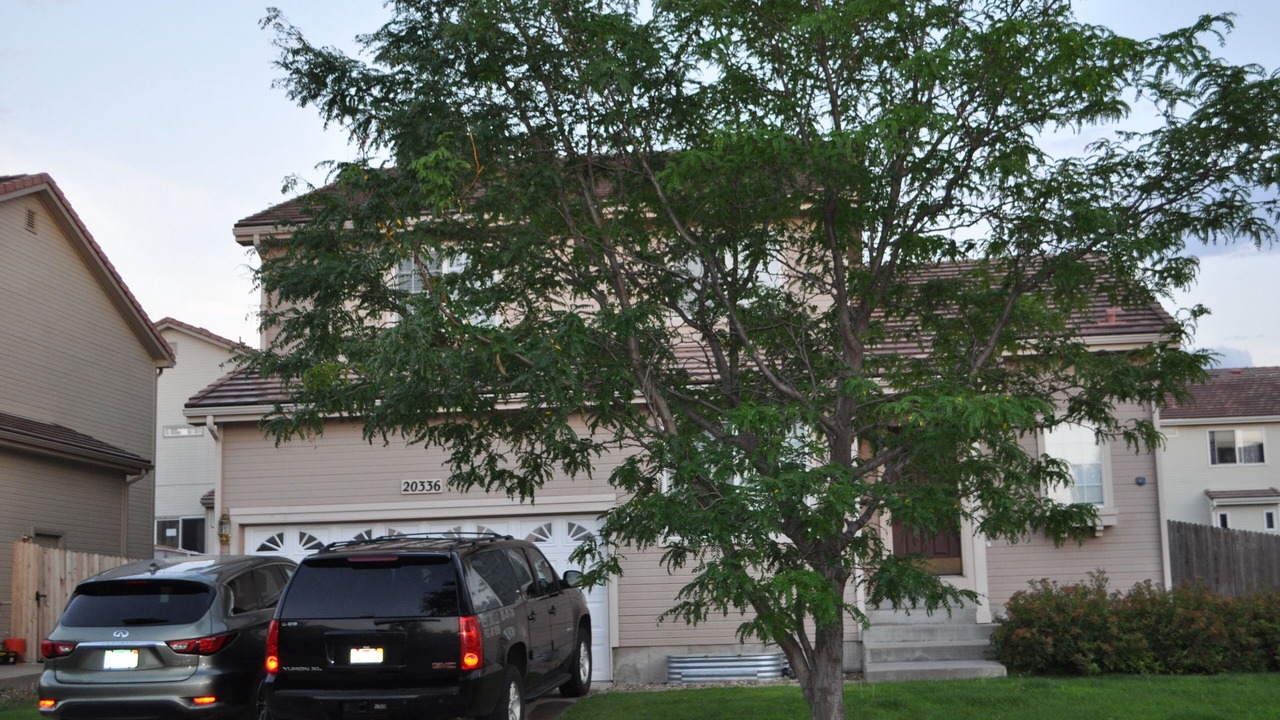 Photo of Outdoor in Green Valley Ranch
