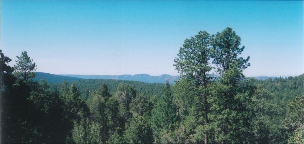 Photo of Others in Pecos