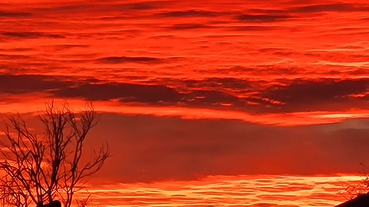 Photo of Outdoor in Benson