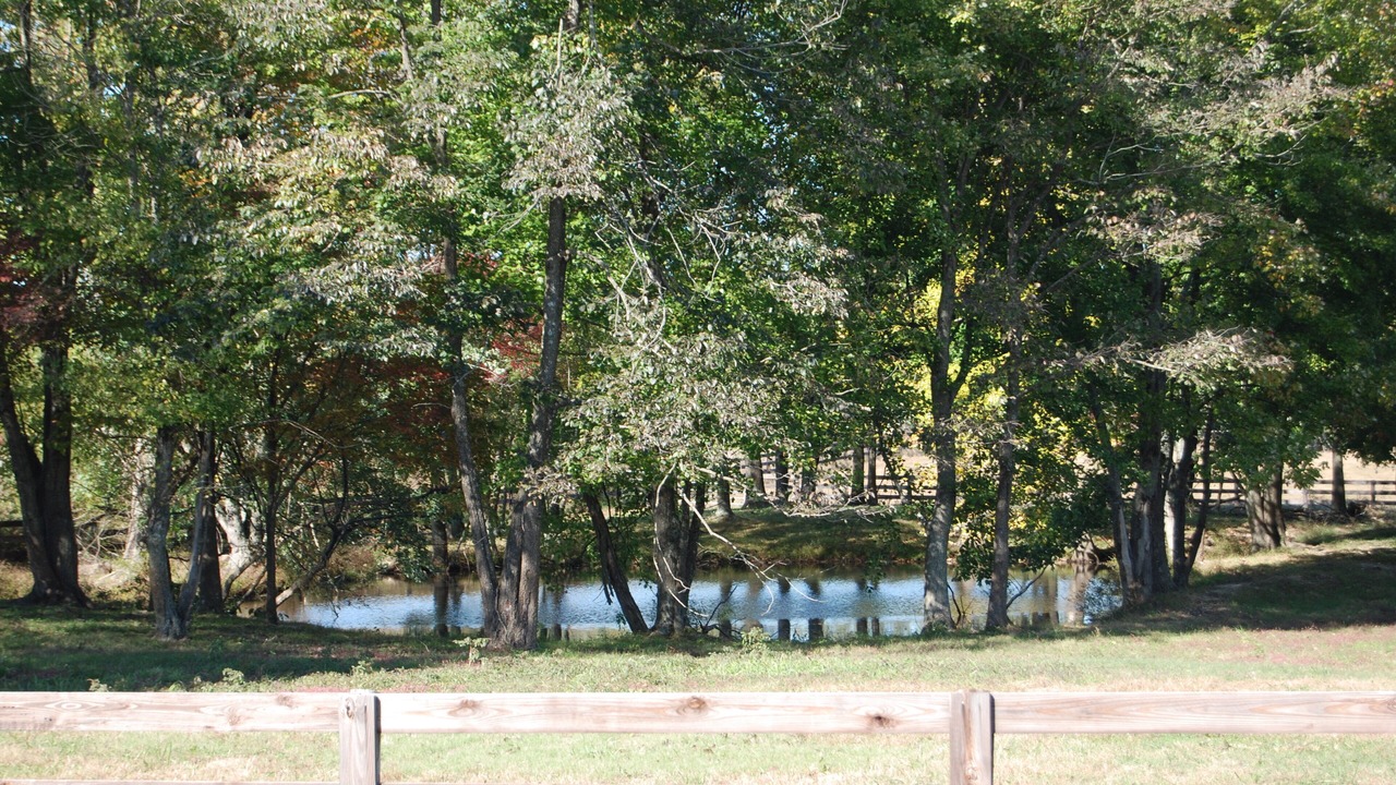 Photo of Outdoor in Springfield
