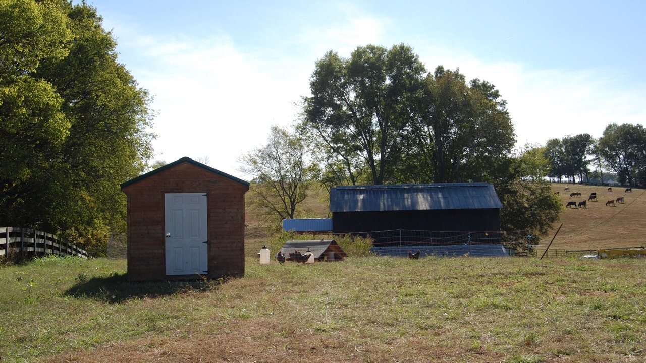 Photo of Outdoor in Springfield