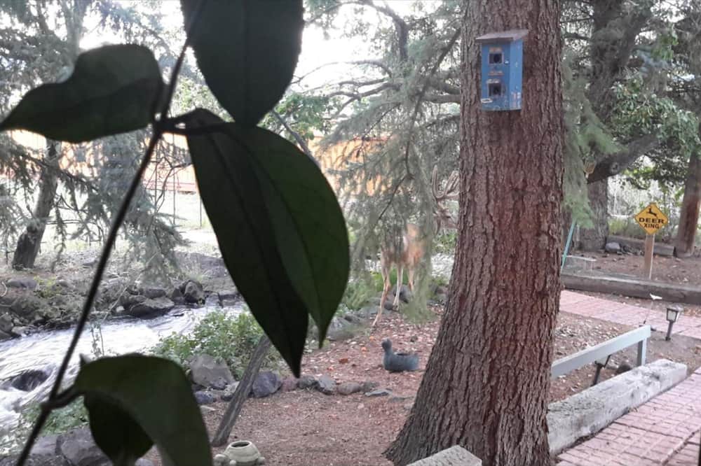 Photo of Outdoor in Cedaredge