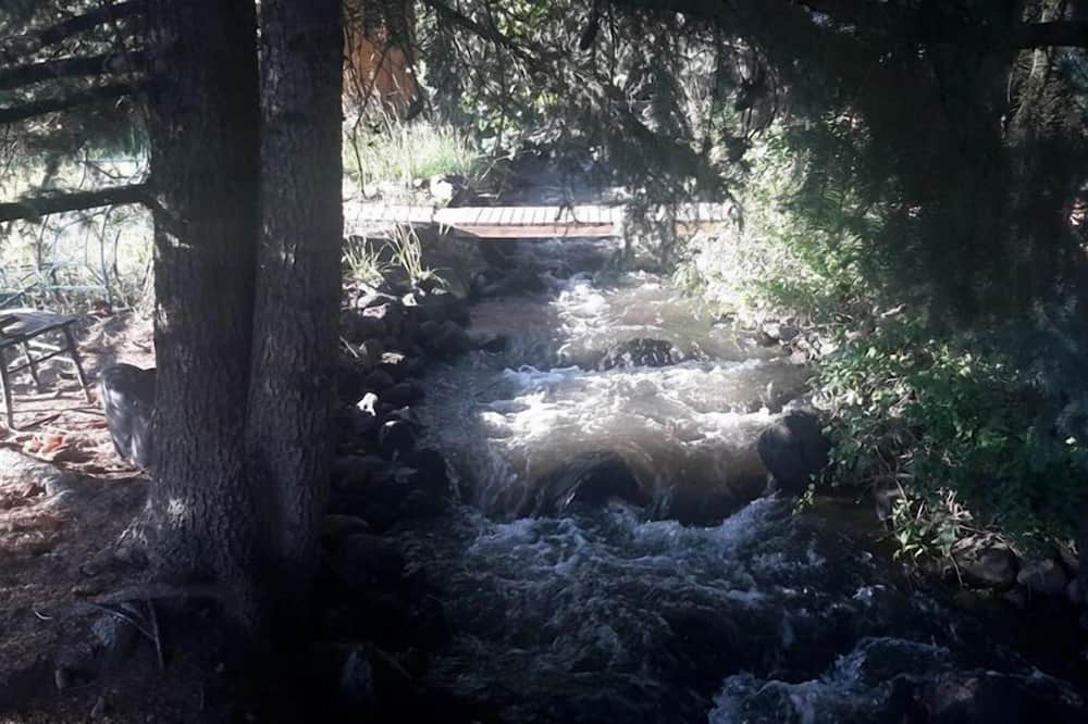 Photo of Others in Cedaredge