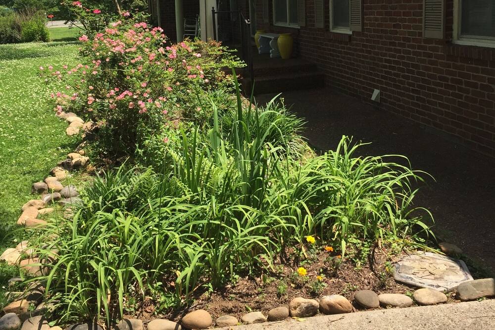 Photo of Outdoor in Murfreesboro