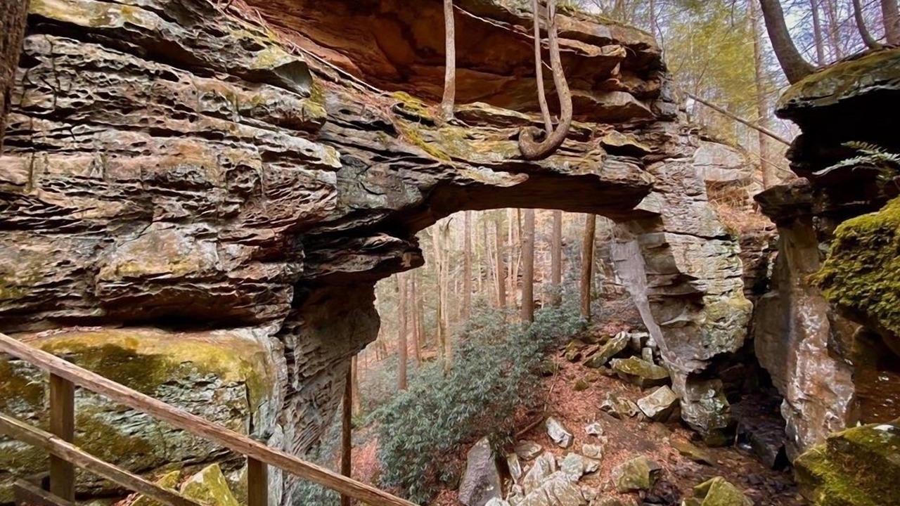Photo of Outdoor in Revelo