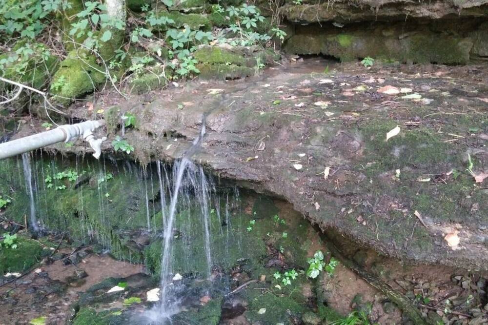 Photo of Outdoor in Gainesboro