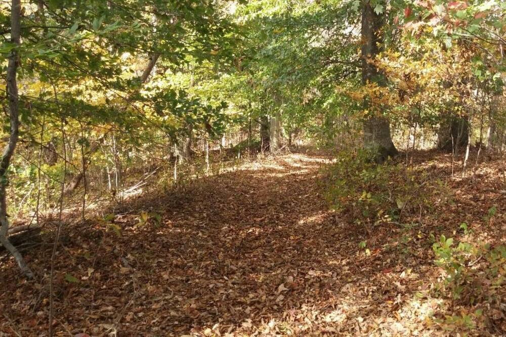 Photo of Outdoor in Gainesboro