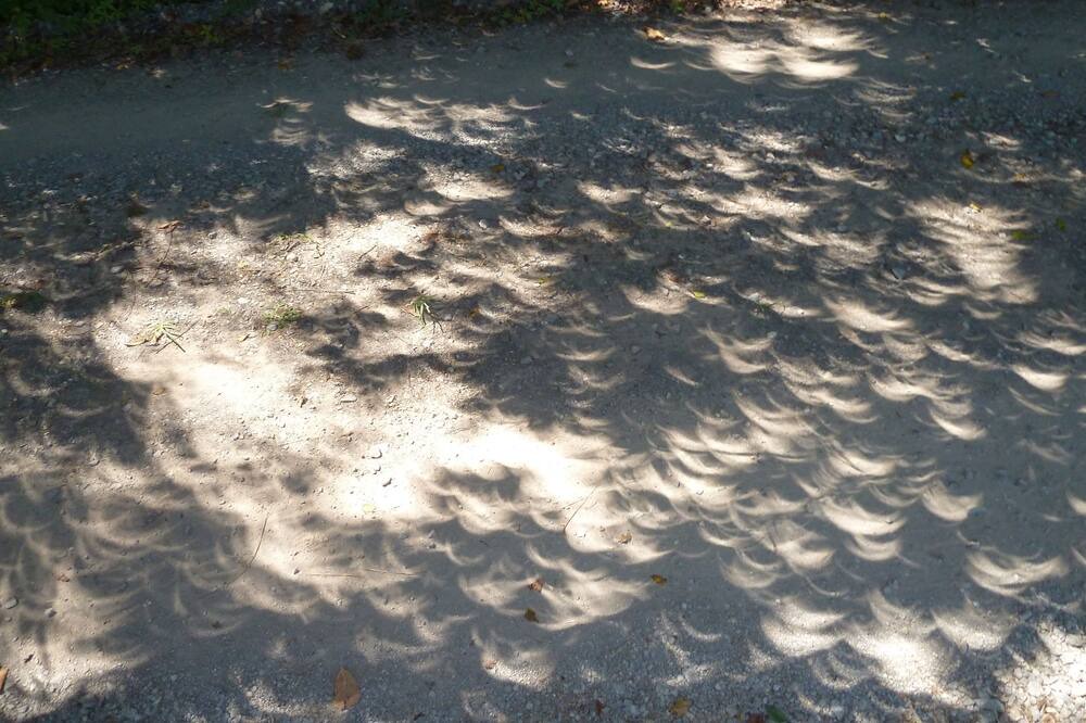 Photo of Others in Gainesboro