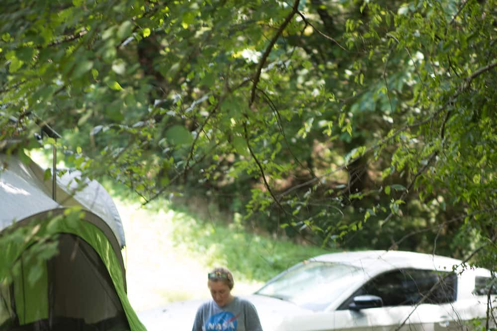 Photo of Others in Gainesboro