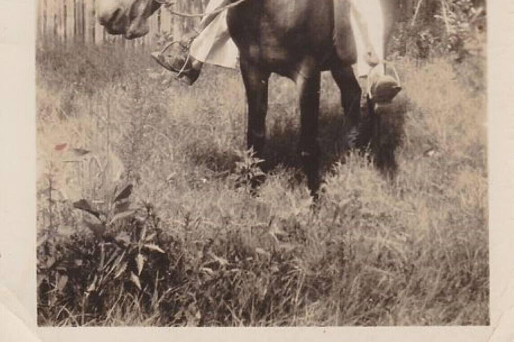 Photo of Others in Gainesboro