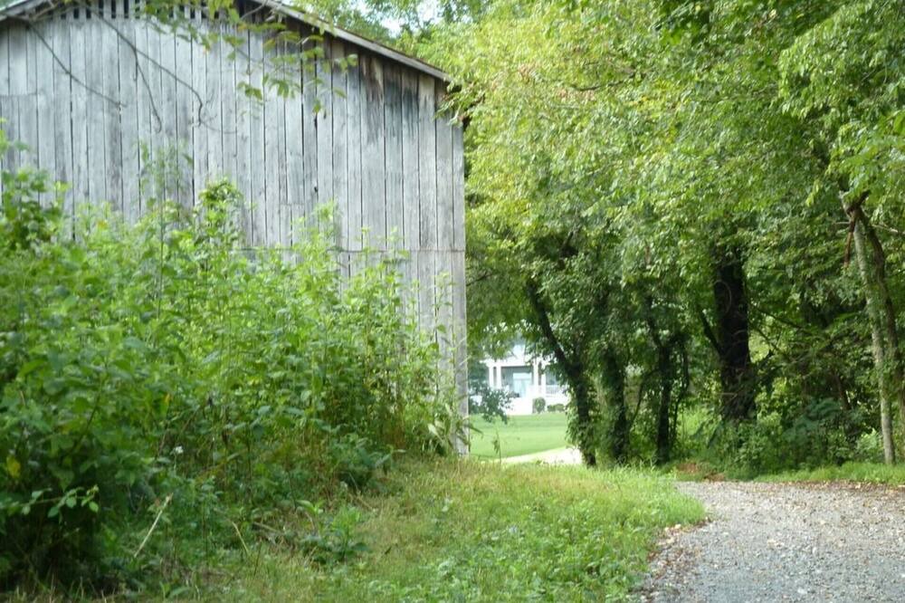 Photo of Outdoor in Gainesboro
