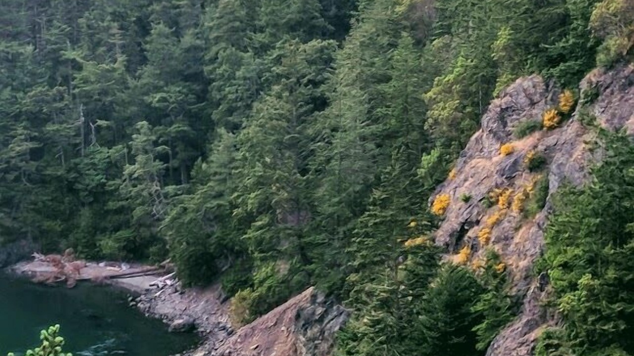 Photo of Outdoor in Oak Harbor