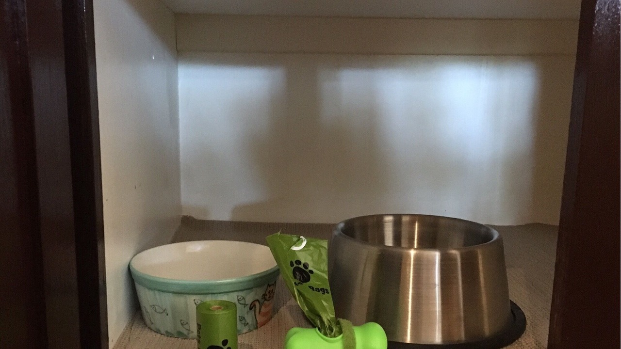 Photo of Kitchen in Las Vegas