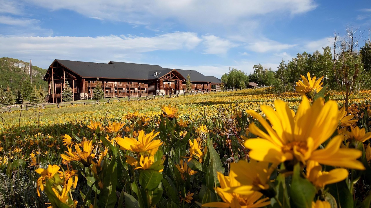 Photo of Outdoor in Heber City