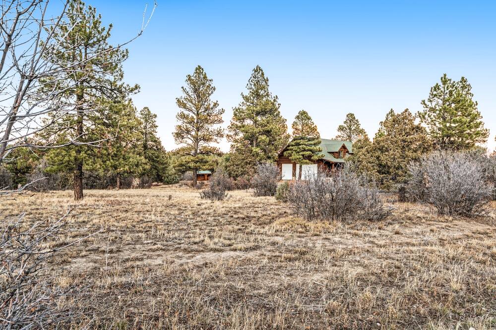 Photo of Outdoor in Pagosa Meadows IV