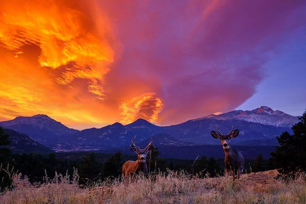 Photo of Others in Estes Park