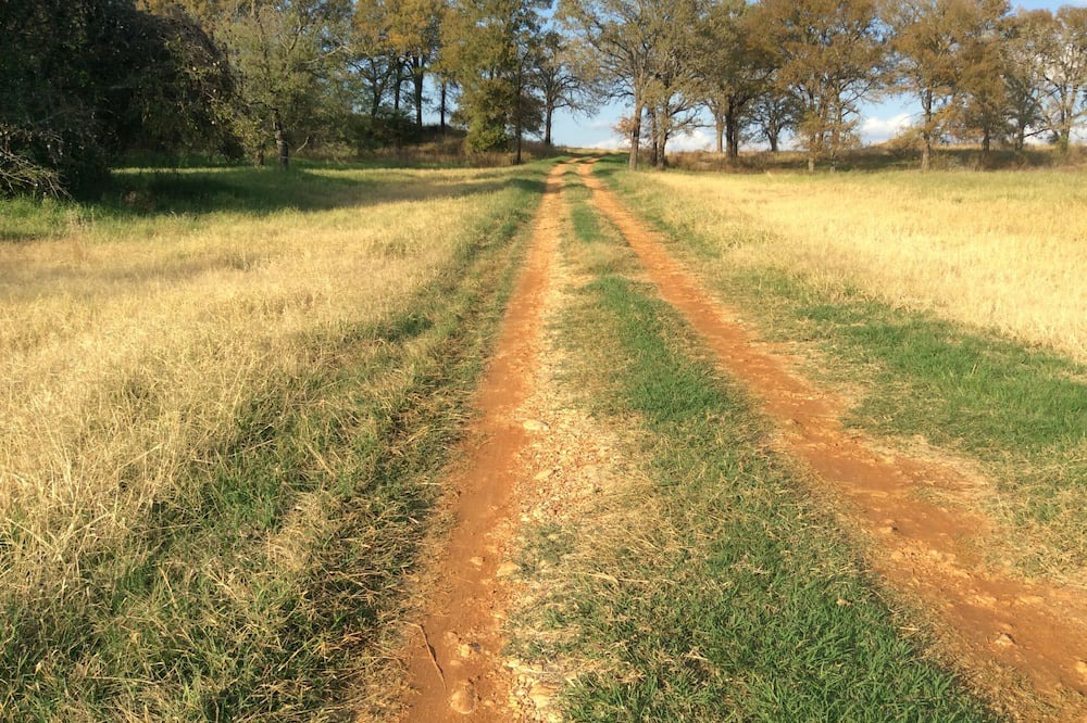Photo of Others in Bastrop