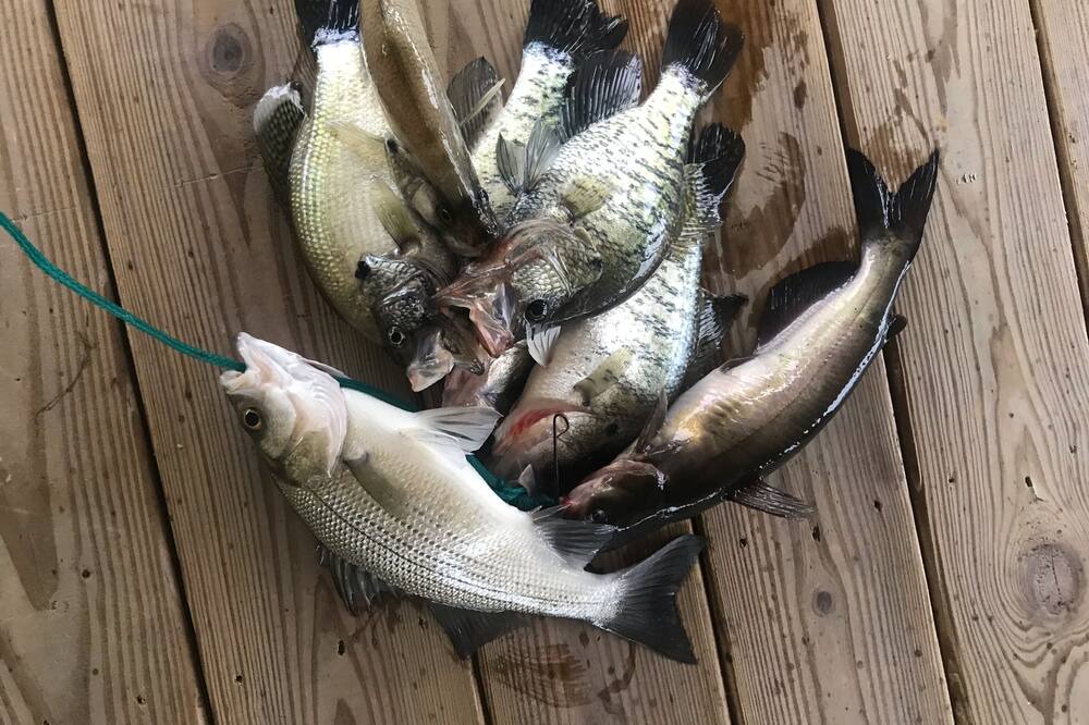 Photo of Others in Tyler