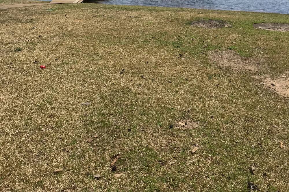 Photo of Outdoor in Tyler