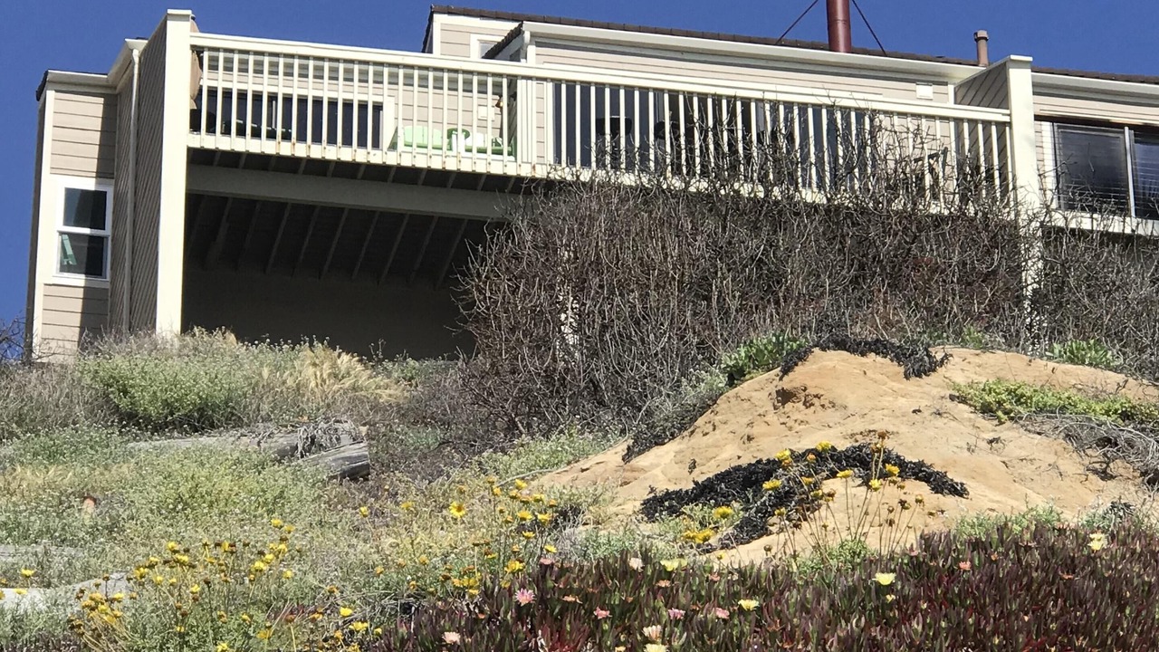 Photo of Outdoor in Leucadia