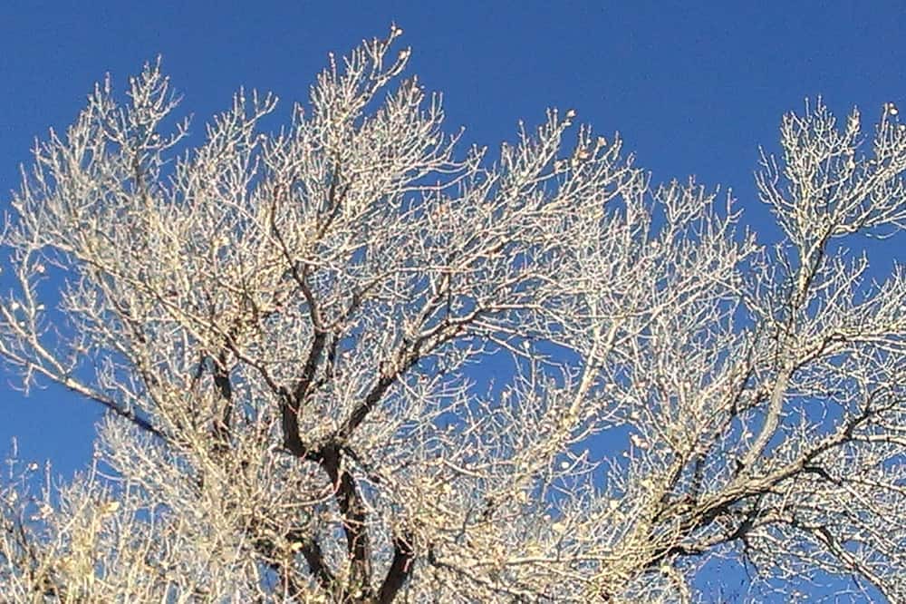 Photo of Others in Cerrillos