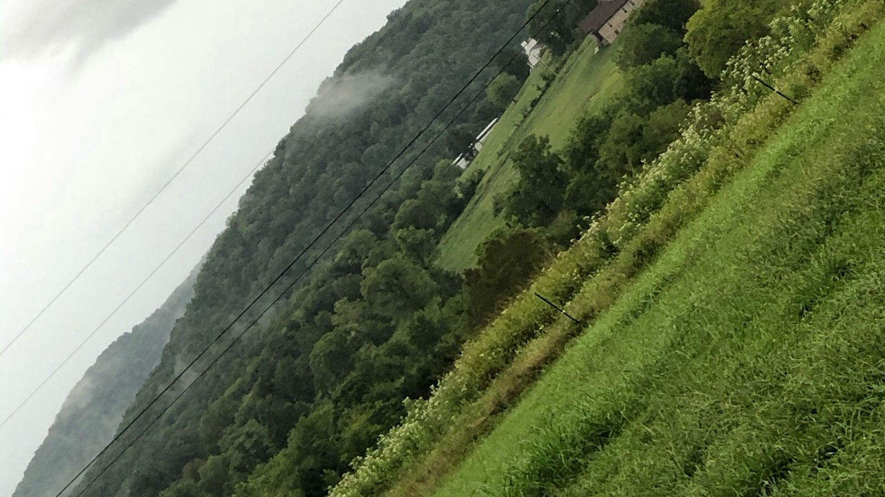 Photo of Others in Christiana