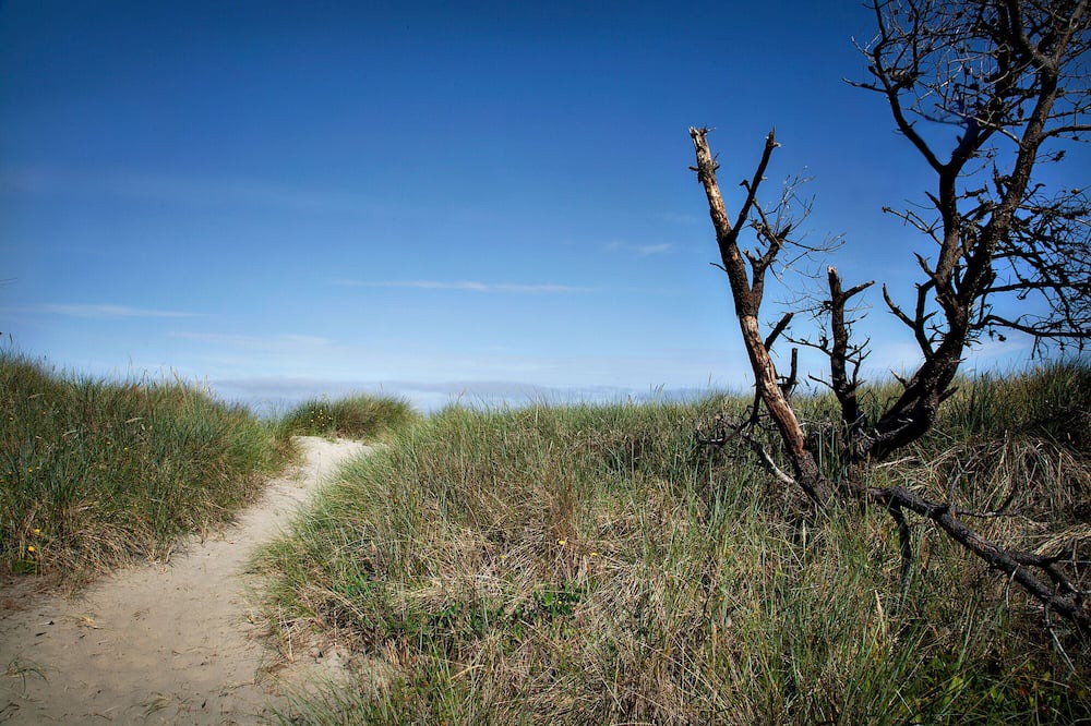 Photo of Others in Tierra Del Mar