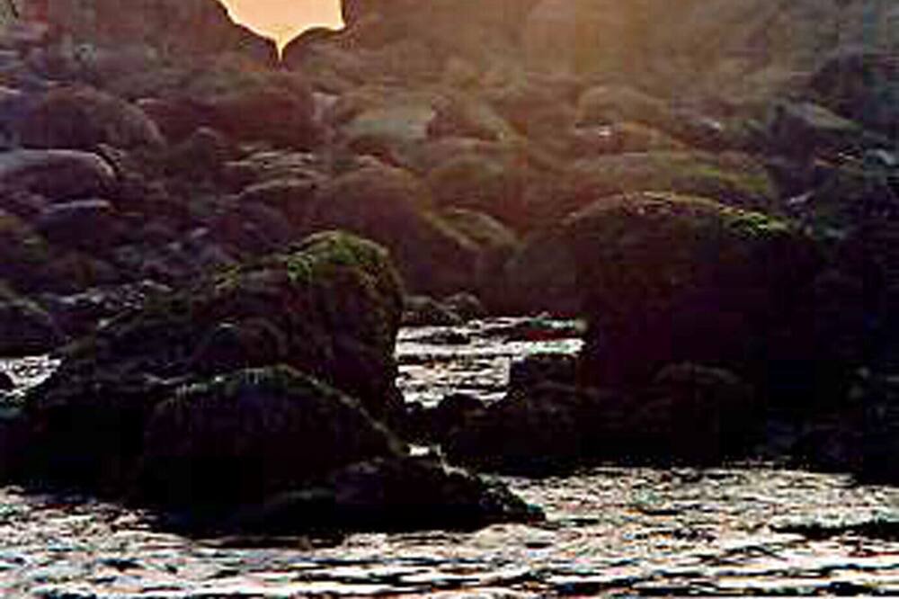 Photo of Others in Tierra Del Mar