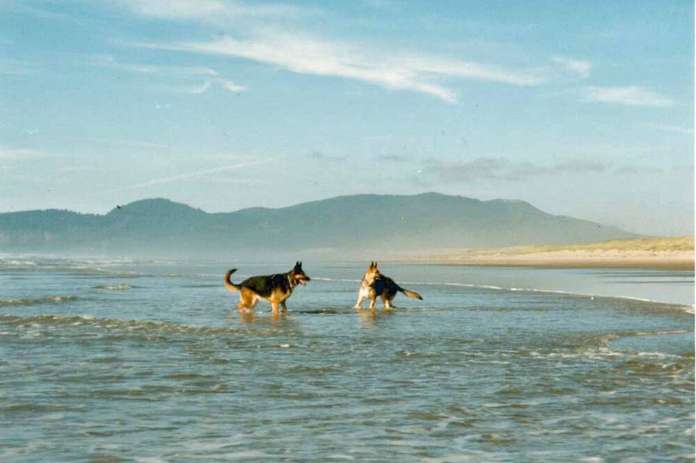 Photo of Others in Tierra Del Mar
