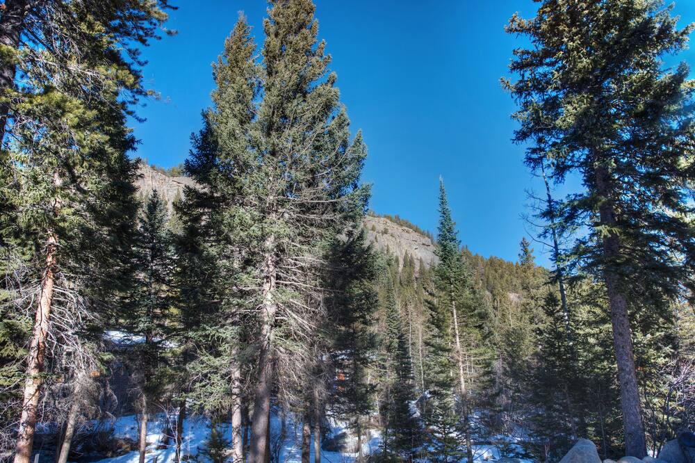 Photo of Others in Lyons