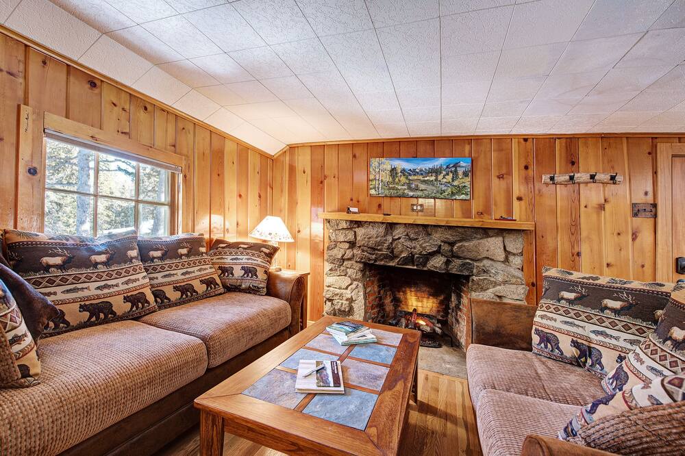 Photo of Livingroom in Lyons