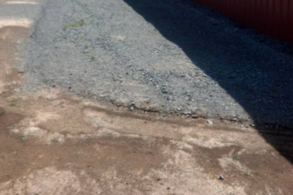 Photo of Others in Shelbyville