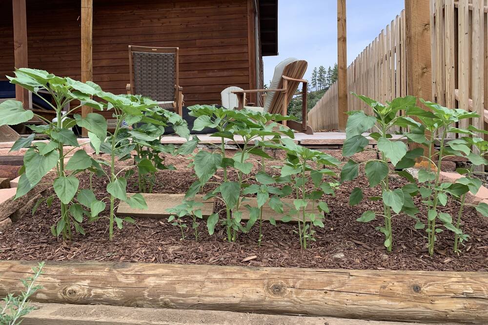 Photo of Outdoor in Pagosa Springs
