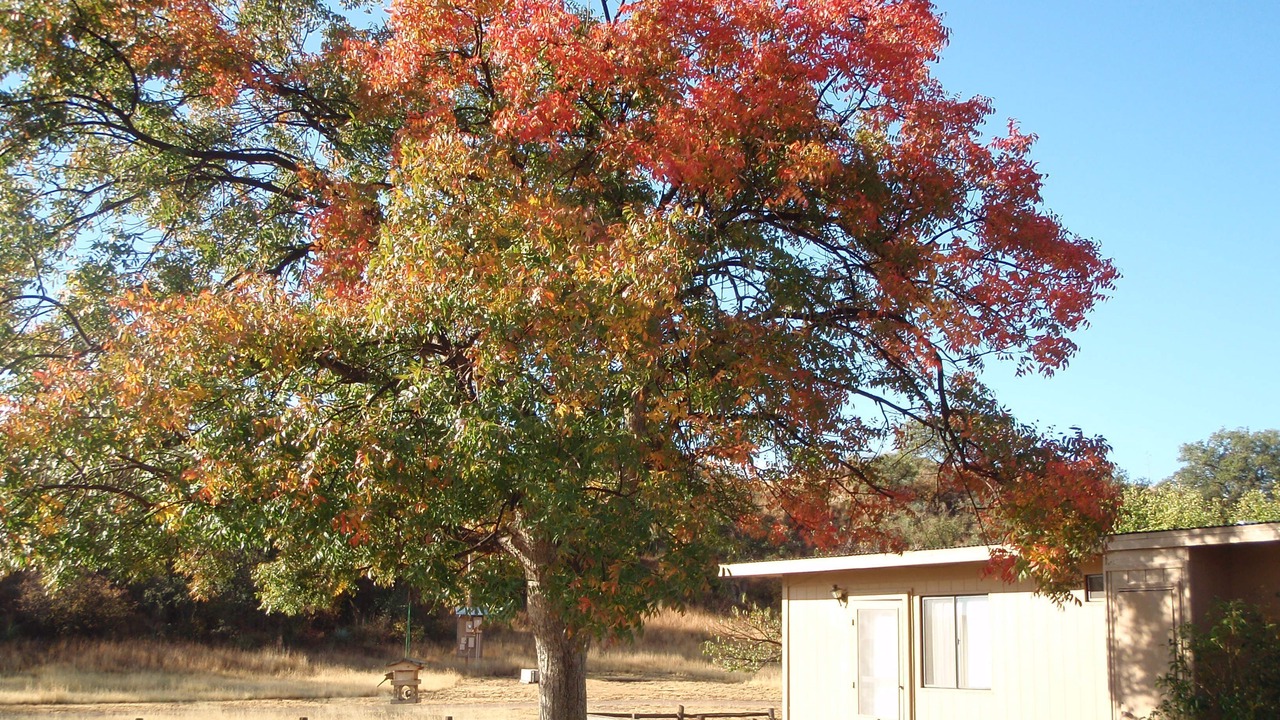 Photo of Outdoor in Sonoita
