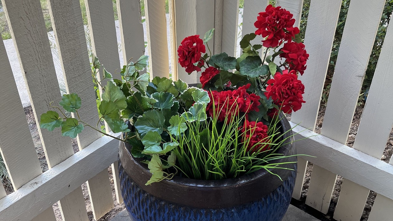 Photo of Outdoor in Littleton
