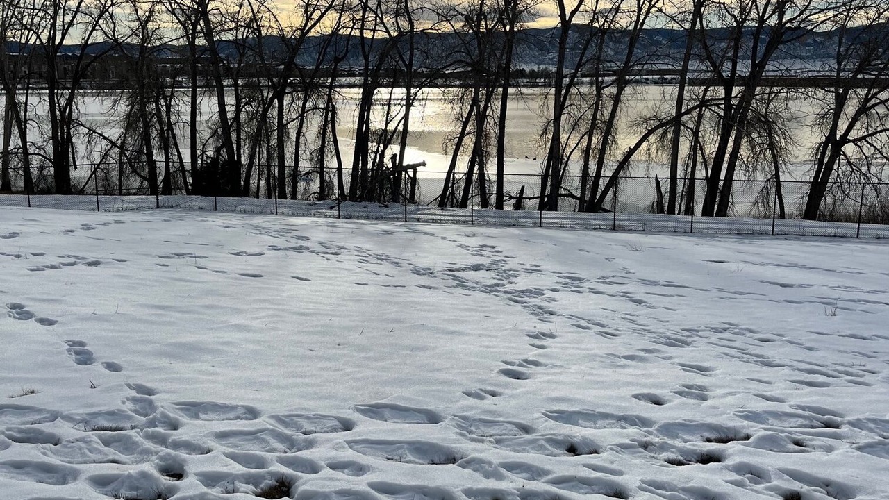 Photo of Outdoor in Littleton