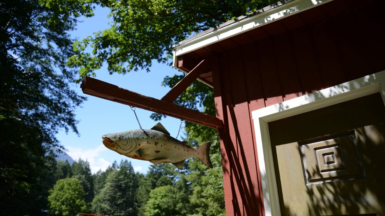 Photo of Outdoor in Washington