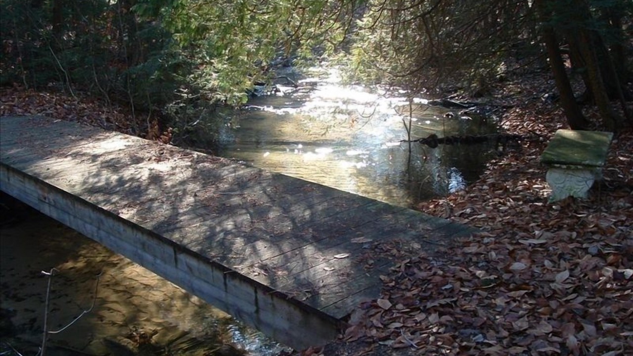 Photo of Outdoor in Maple City