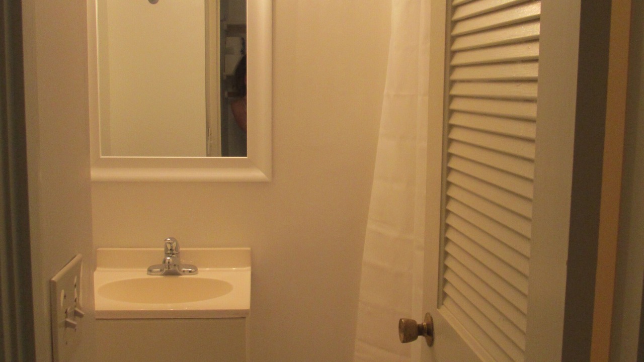 Photo of Others in Lower Pacific Heights