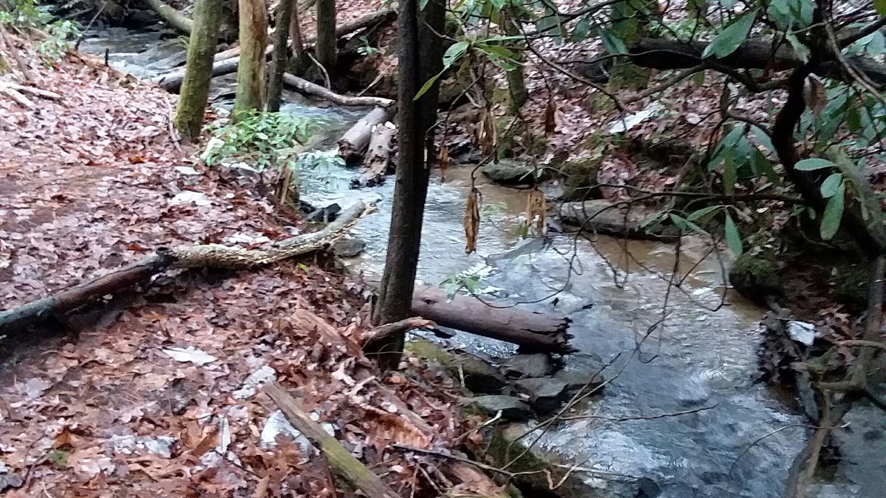 Photo of Outdoor in Oneida