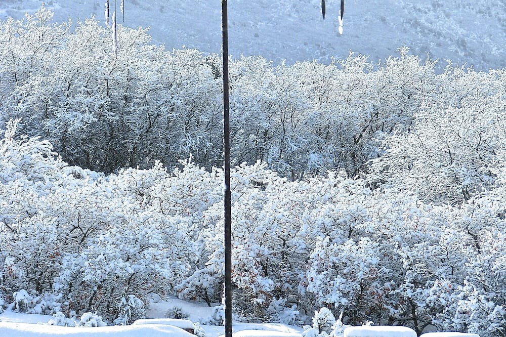 Photo of Others in Missouri Heights