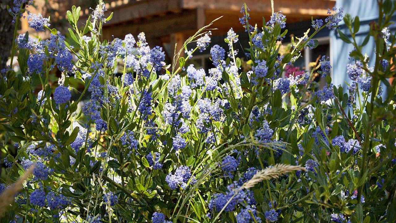 Photo of Outdoor in Tierra Del Mar