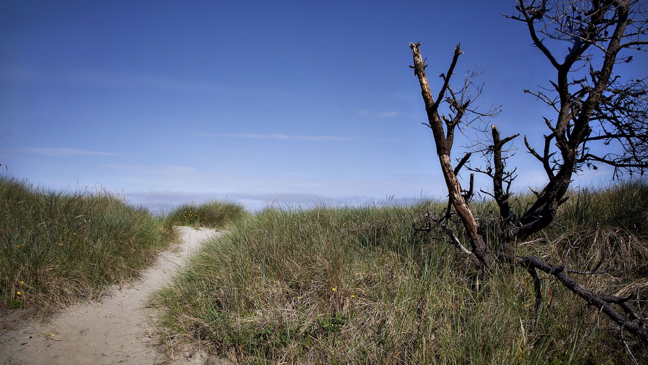 Photo of Outdoor in Tierra Del Mar